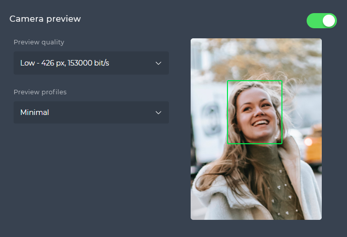 Camera preview section