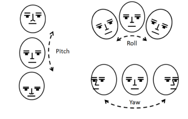 Roll, pitch and yaw of a face relative to the camera